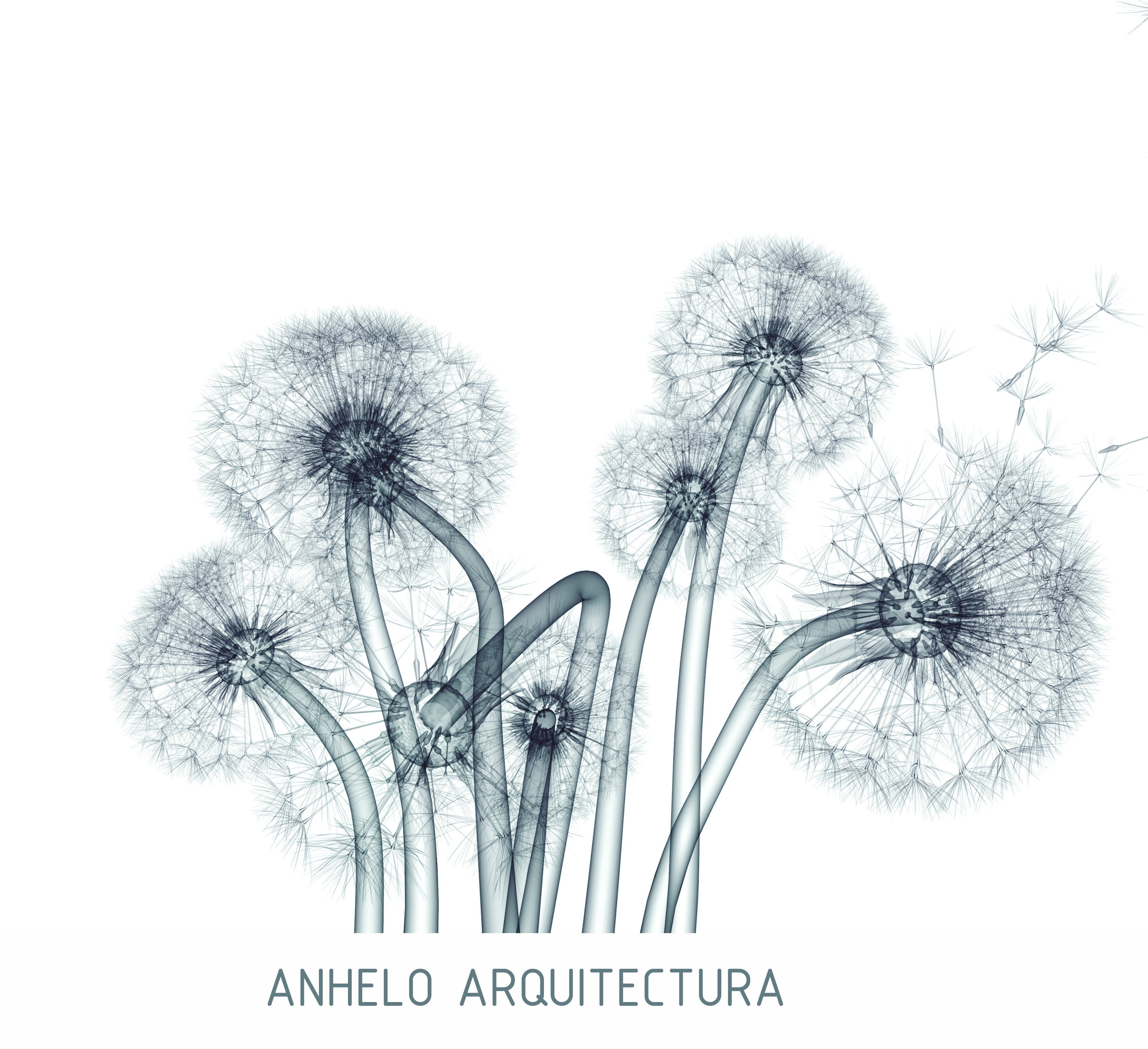 logo de Anhelo Arquitectura Sostenible. Es un diente de león del que salen sus semillas al viento.